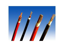 Fluorine plastic insulated high temperature resistant control cable